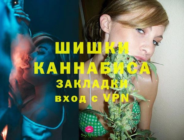 шишки Вяземский