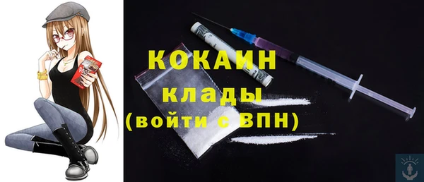 шишки Вяземский