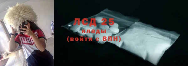 шишки Вяземский